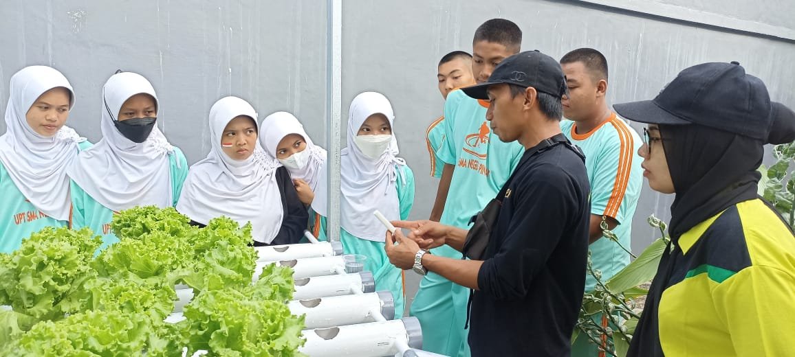 Budidaya Tanaman Hidroponik